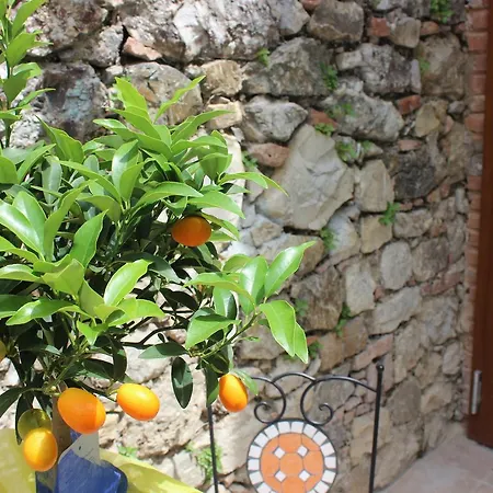 Bed & Breakfast Canneto Monteverdi Marittimo